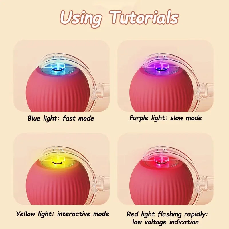 Fun Rolling Pet Toy