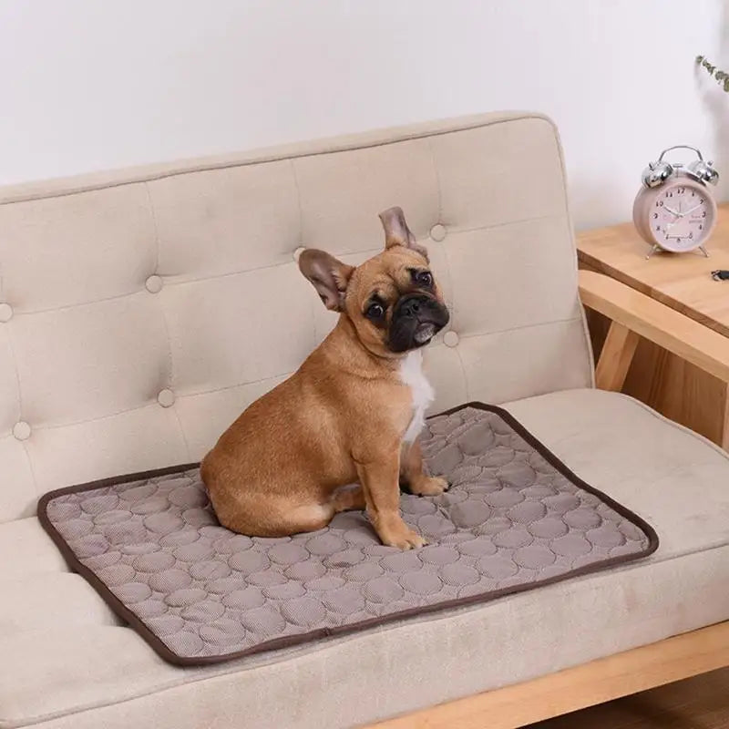 Cooling Comfort Pet Pad