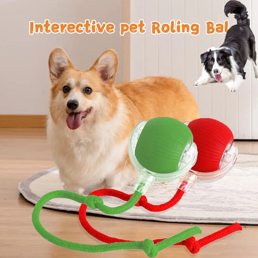 Fun Rolling Pet Toy