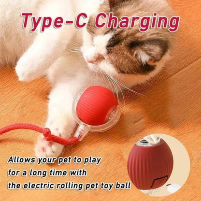 Fun Rolling Pet Toy