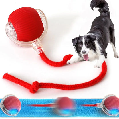 Fun Rolling Pet Toy