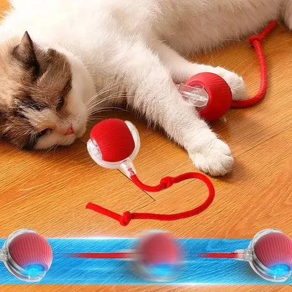 Fun Rolling Pet Toy