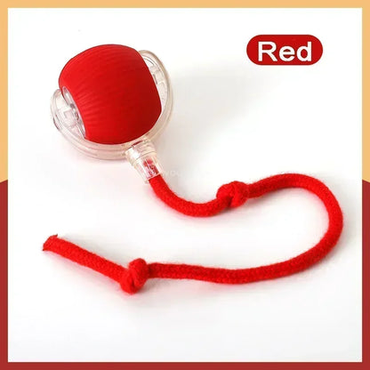 Fun Rolling Pet Toy